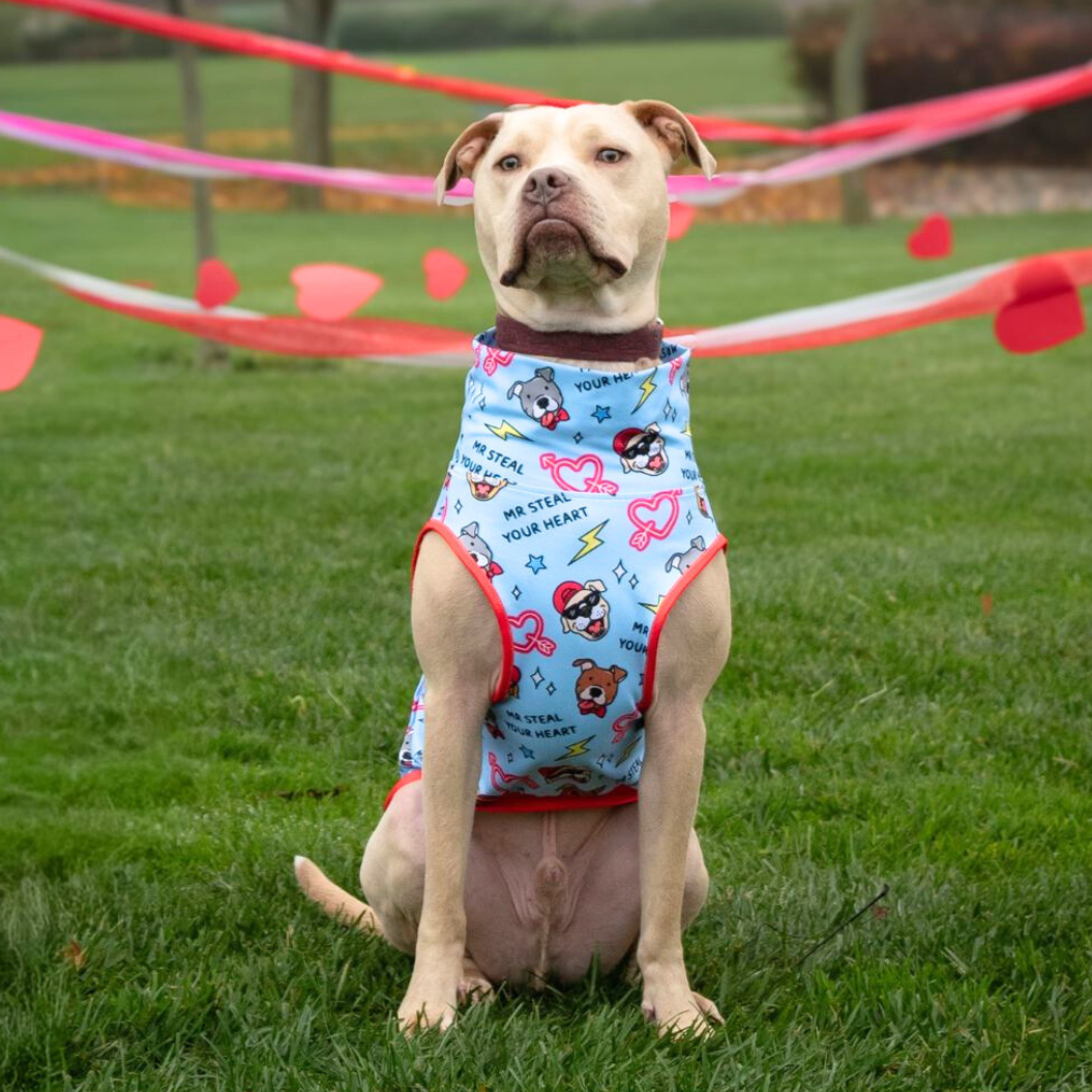 Mr. Steal Ur Heart Muscle Tee