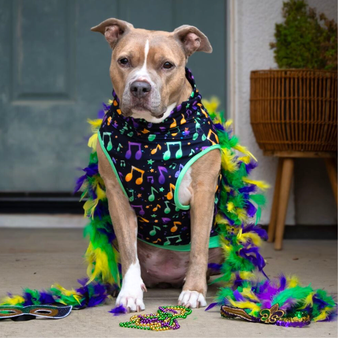 Bayou Beats Muscle Tee