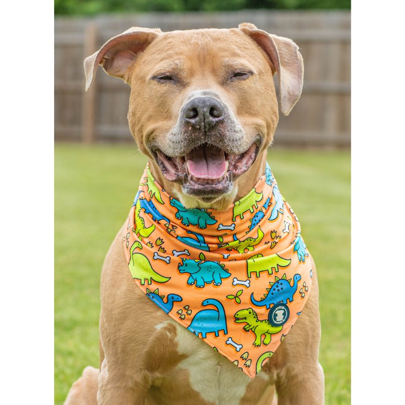 'Lazy Bones' Bandana