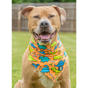 Lazy Bones' Bandana – Pittie Clothing1