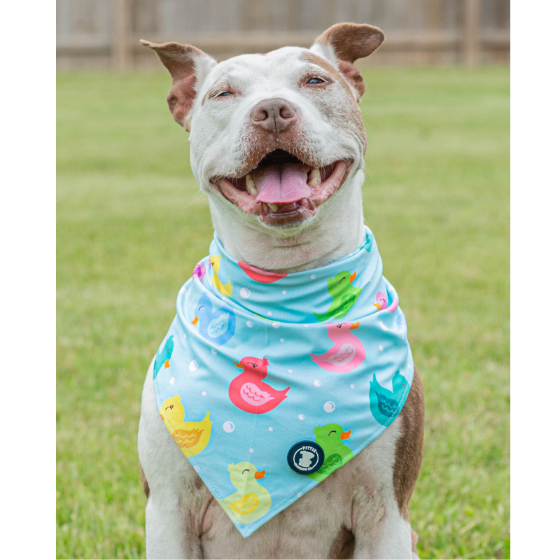 Purple 'So Duckin' Cute' Bandana