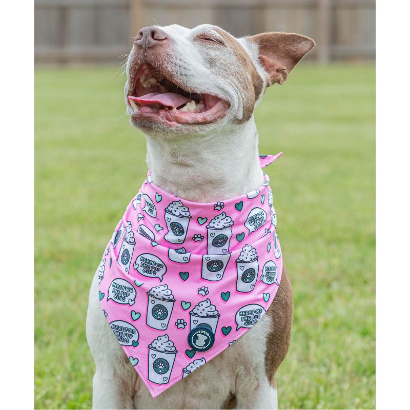 Pink 'Pup Cups' Bandana