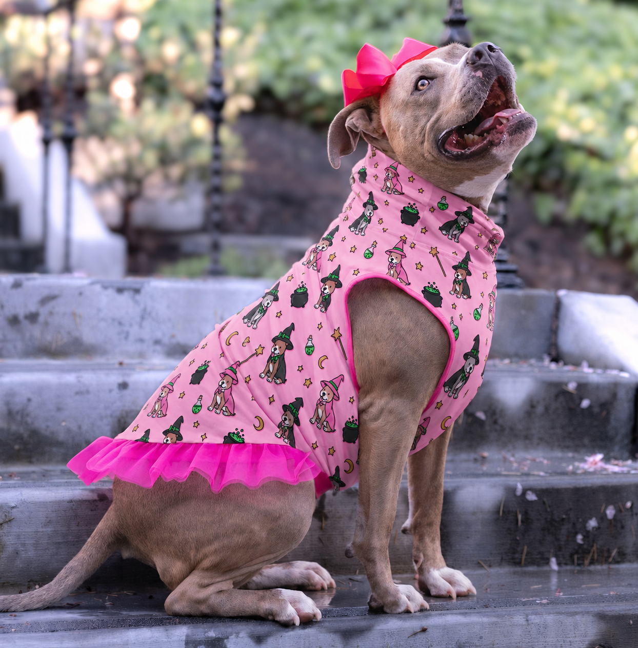 *PRE-ORDER* I'll Get You My Pittie TUTU