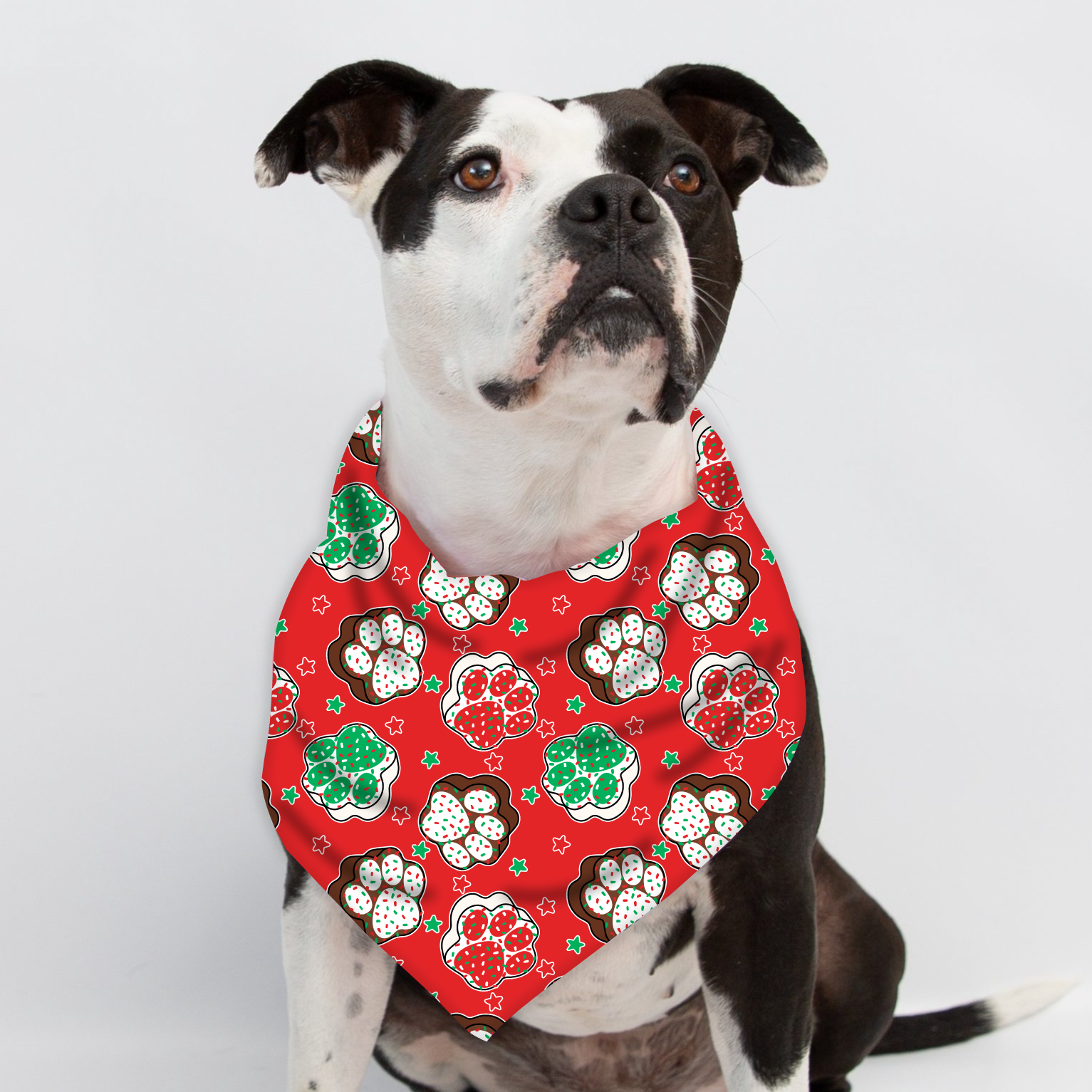 Santa Paws Bandana