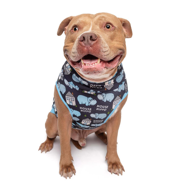 APBT Streetwear PITBULL strandpapucs KÉK - APBT Streetwear APBT Streetwear PITBULL strandpapucs KÉK - APBT Streetwear