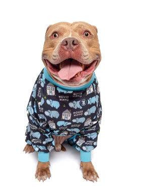 American Bully Large Dog Clothes For Pitbulls 2004 Established
