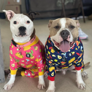 'Party like a Guac Star' Pit bull Pajamas- Blue