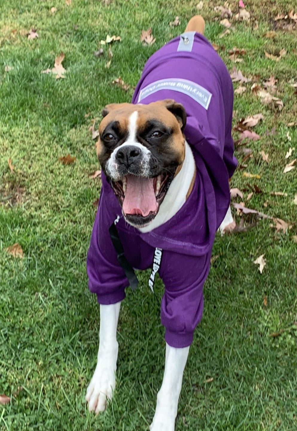 Famous Boxer Sweatsuit 2.0- Purple