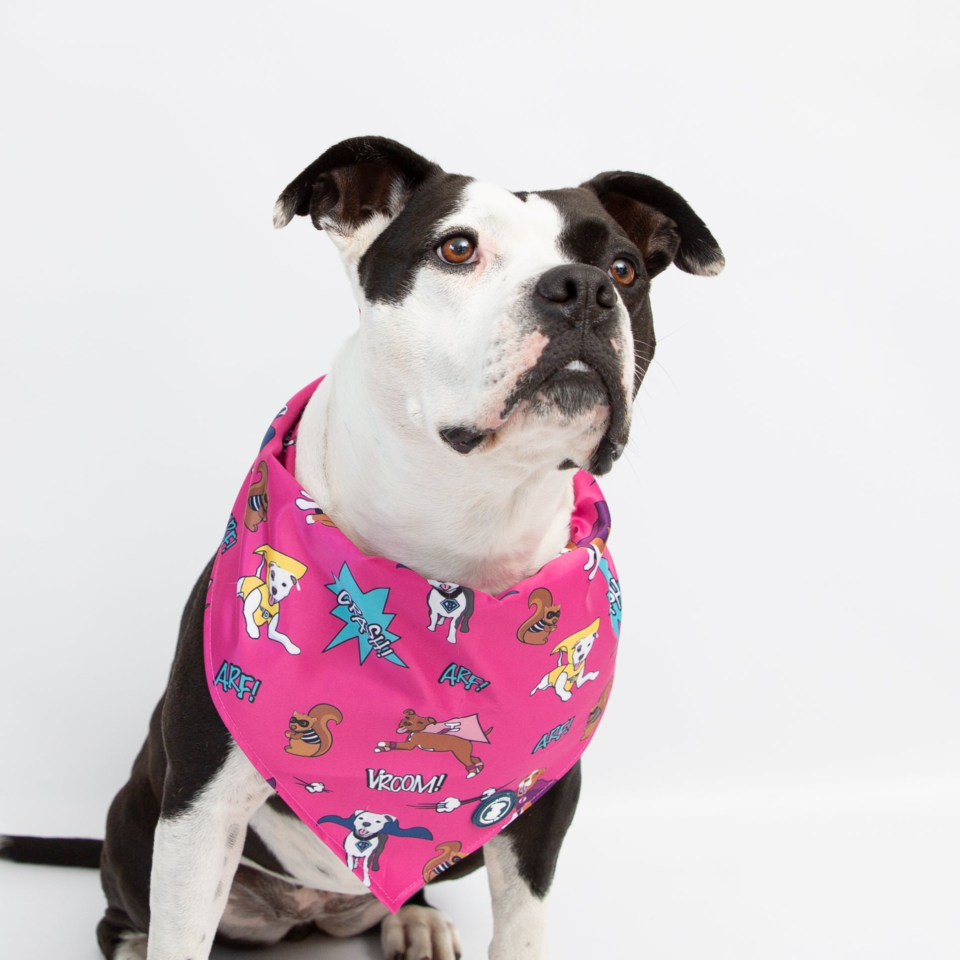 Pink 'Super Pibble' Bandana