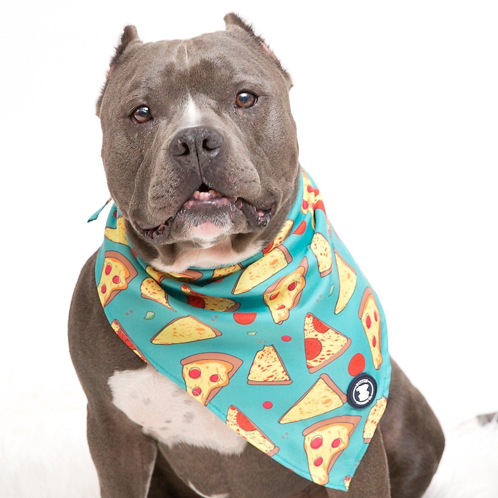 Teal 'Stealin' a Pizza Your Heart' Bandana