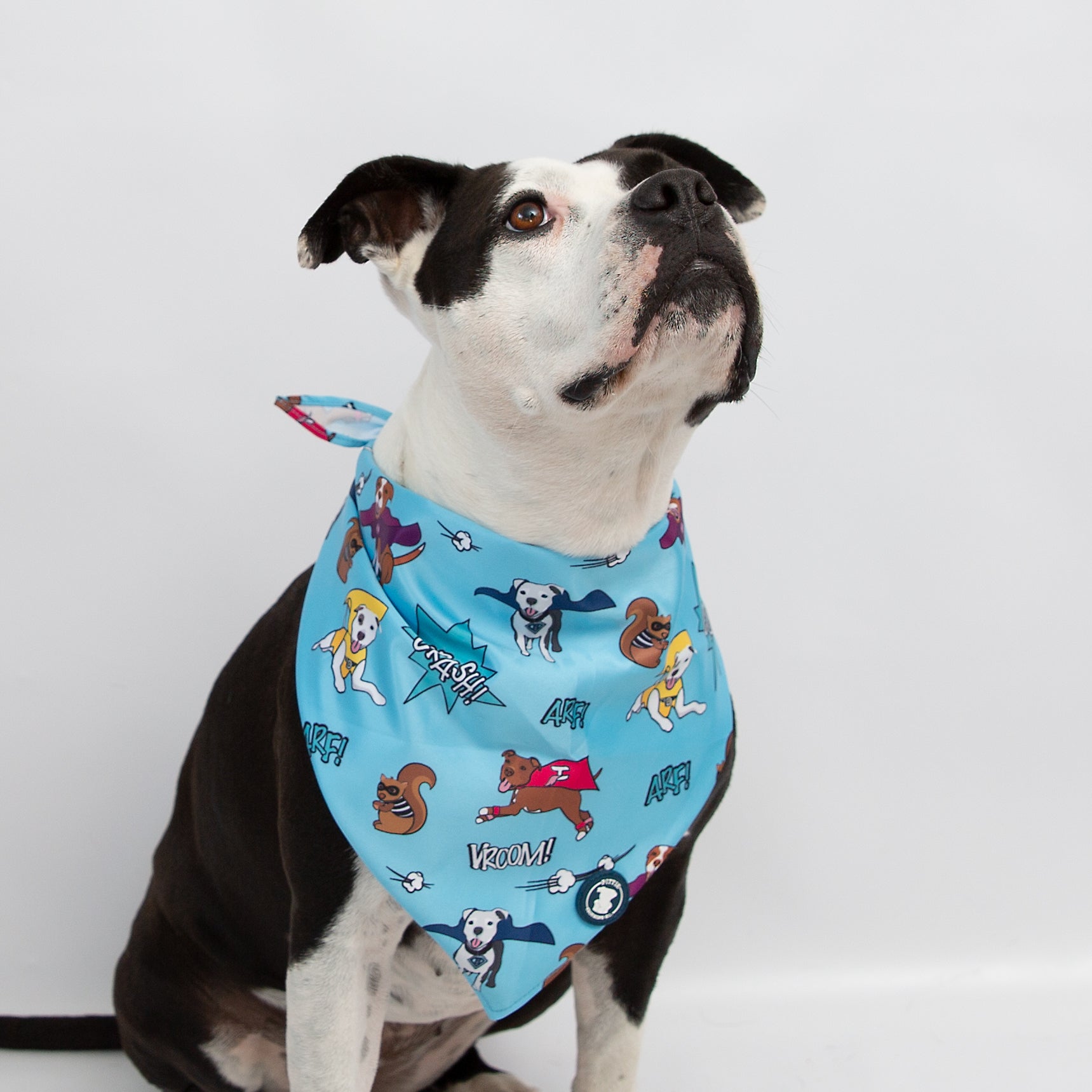 Blue 'Super Pibble' Bandana