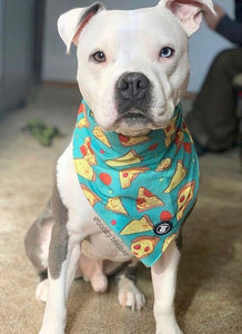 White Pit bull wearing a teal pizza bandana I Pittie Clothing Co.