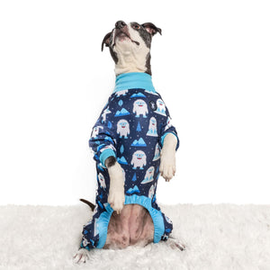 Blue 'Yeti, Set, Snow!' Pit bull Pajamas