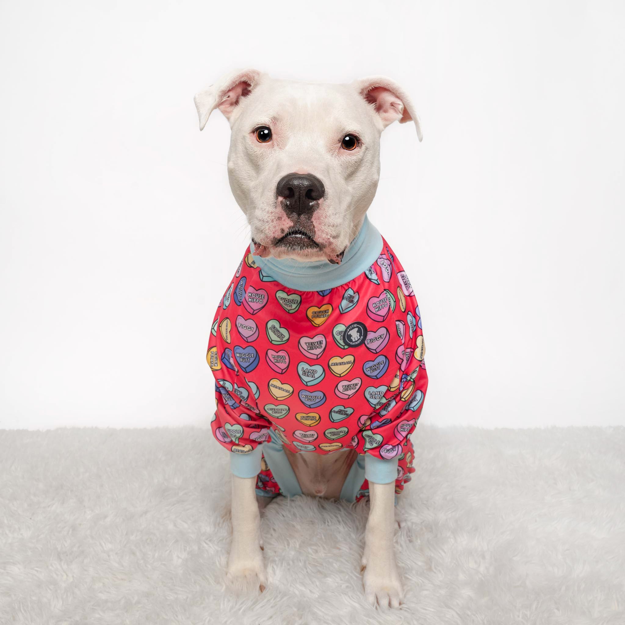 'I'll Always Chews You' Pit bull Pajamas- Deep Pink/Red