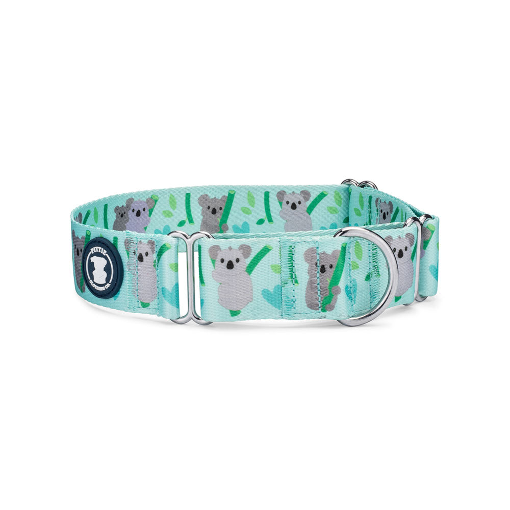 'Beary Cozy' Koala Martingale Collar