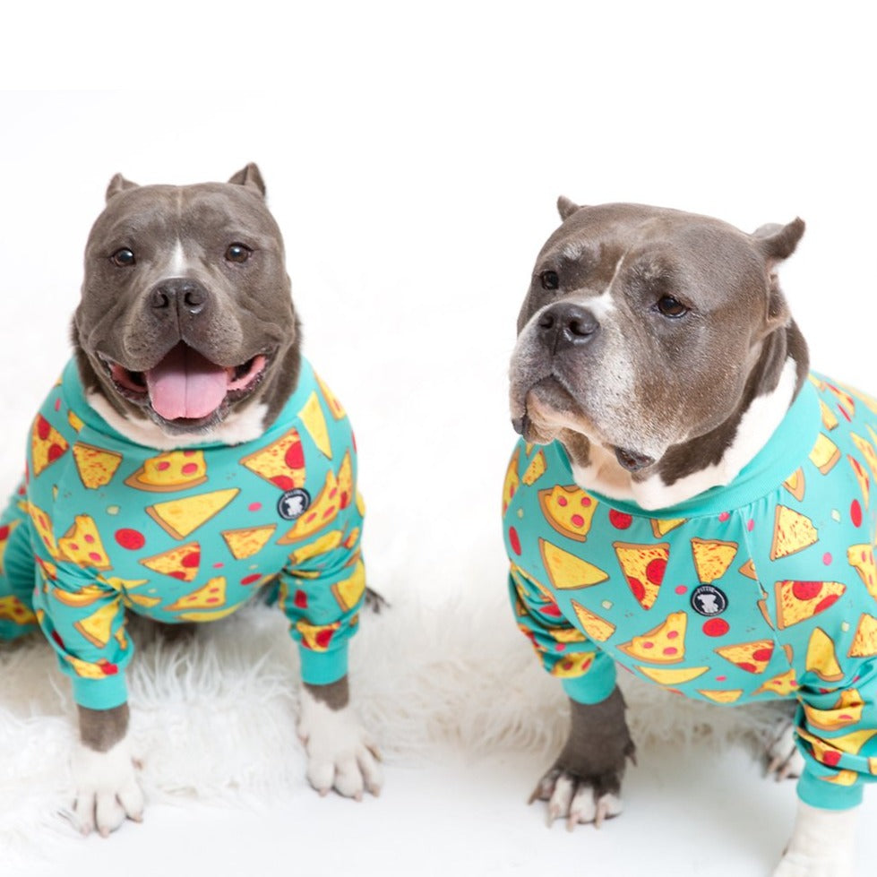 'Stealin' a Pizza Your Heart' Pitbull Pajamas