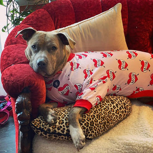Pink Mum And Dog Matching Pjs Pink