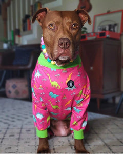 Pink Dino-Snore Pitbull Pajamas