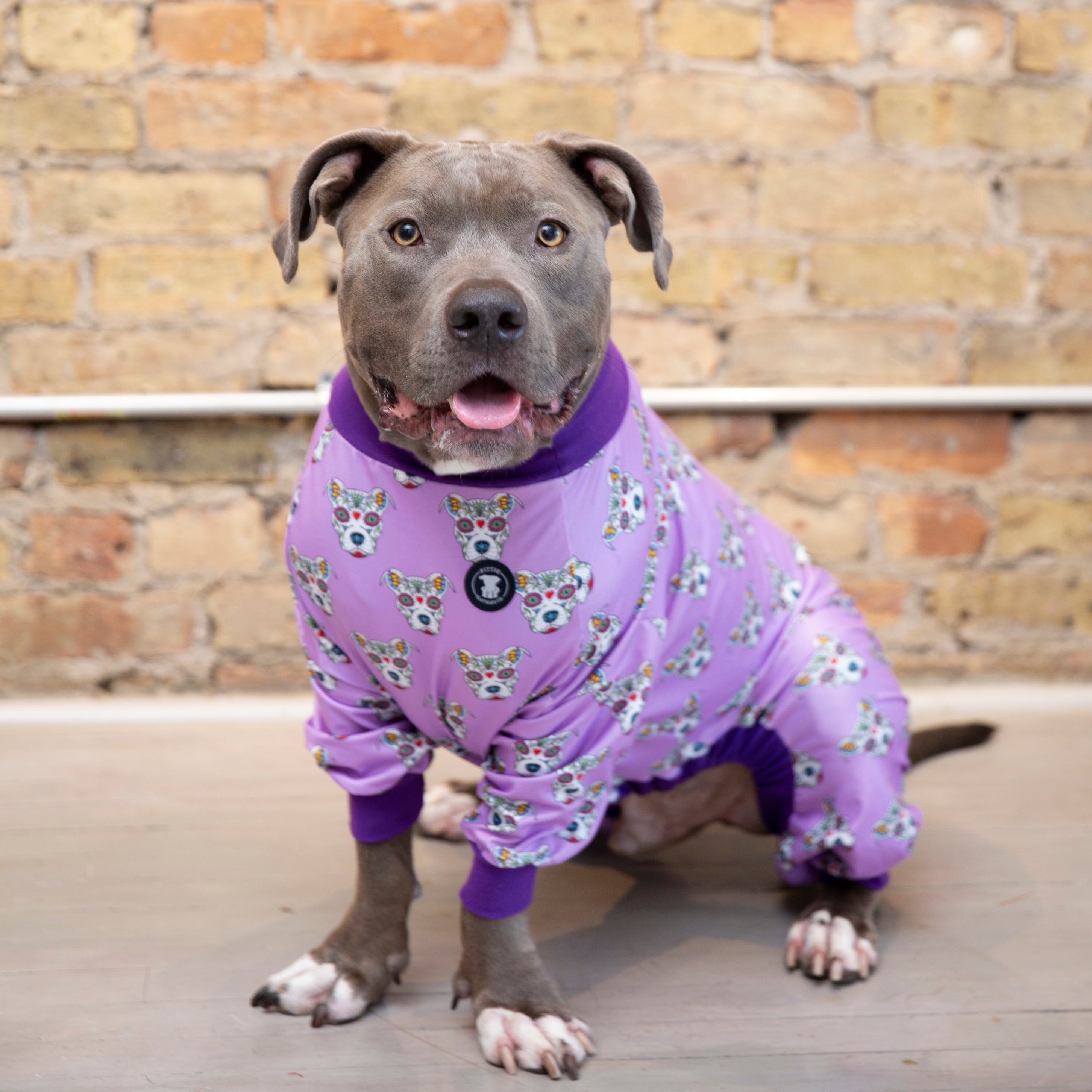 Purple 'Sugar Skull' Pit bull Pajamas