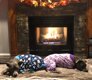 Purple 'Winter Waddle-land' Pit bull Pajamas