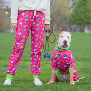 Pink Dino-Snore Pitbull Pajamas